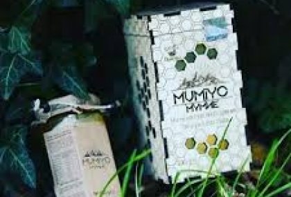Mumiyo Nedir?